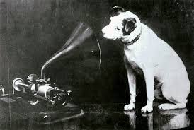 Dog listening to phonograph
